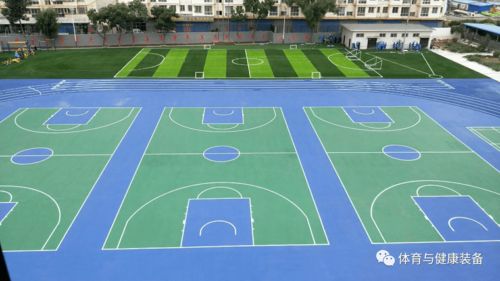 《學(xué)校運(yùn)動場地合成材料面層推薦目錄(2020年版)》產(chǎn)品展播 塑膠場地預(yù)制型跑道卷材